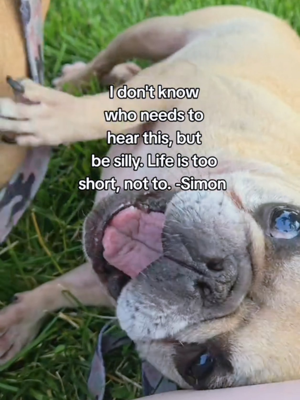 @HoneysuckleandSimon