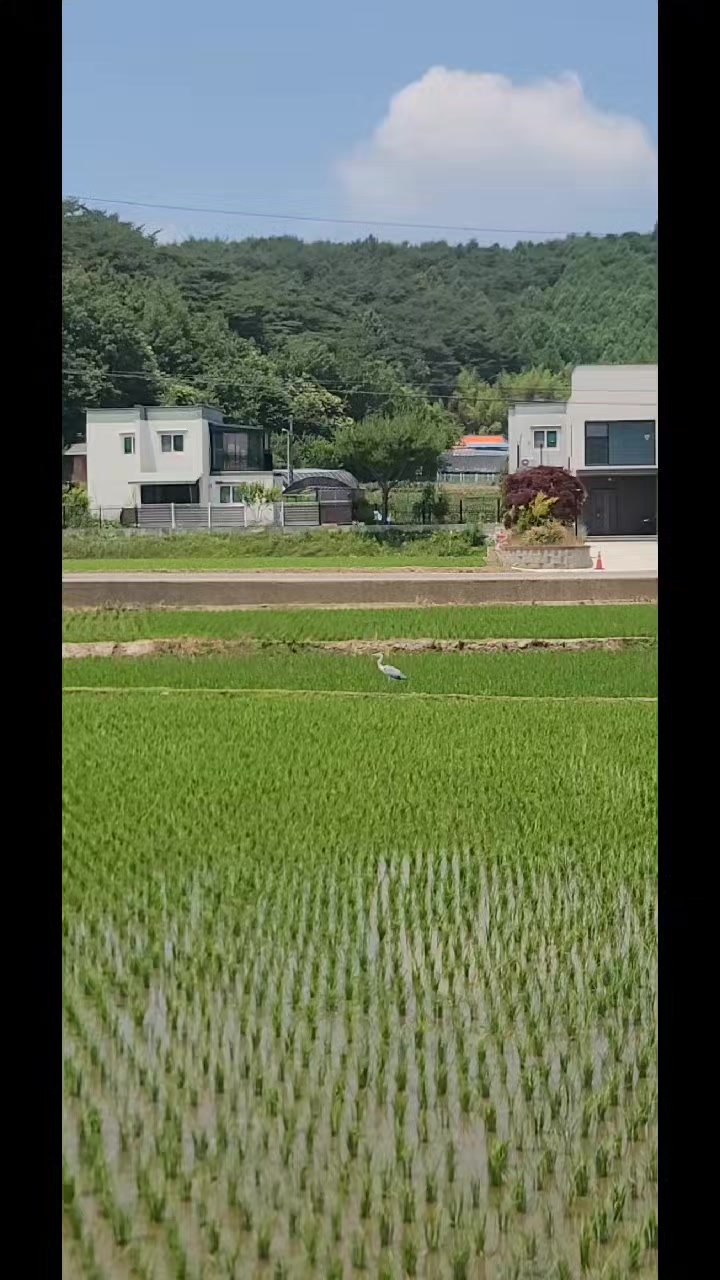 @soochoo💐🐬