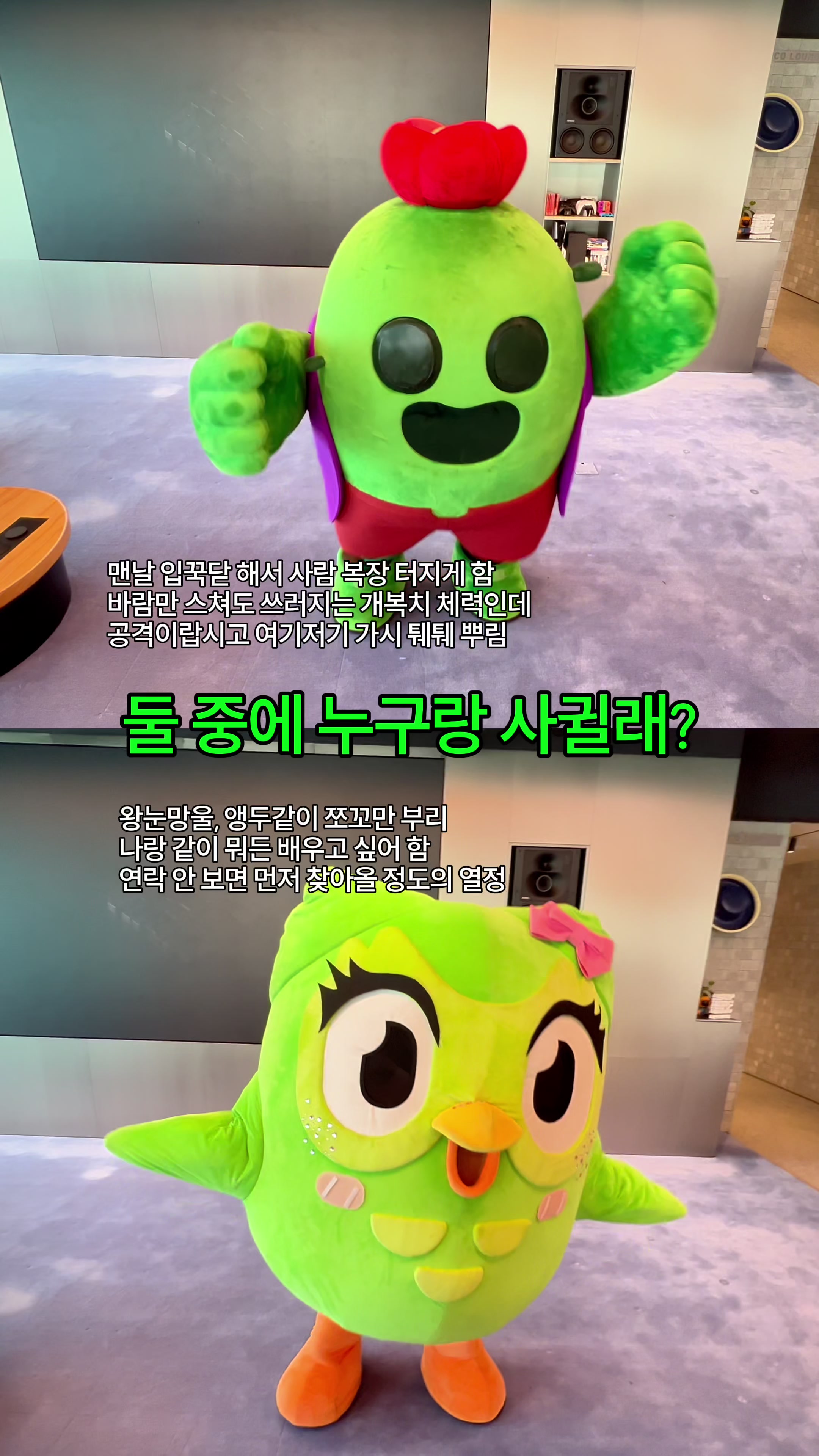 @duolingokorea