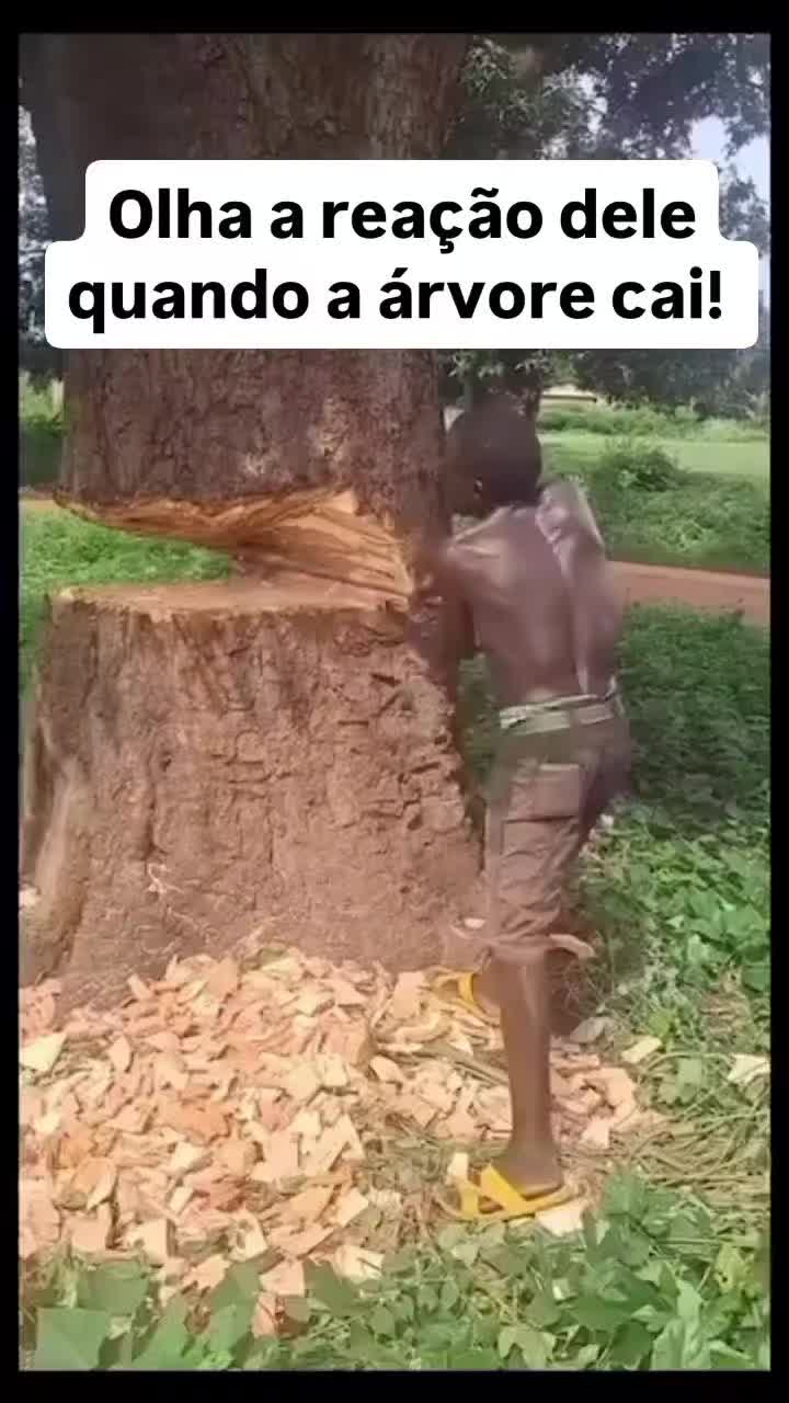 @Ivagno