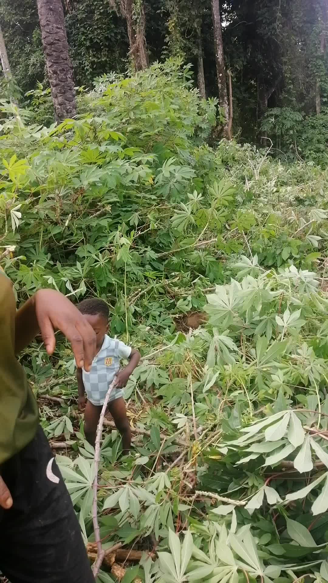 @user6886673501475