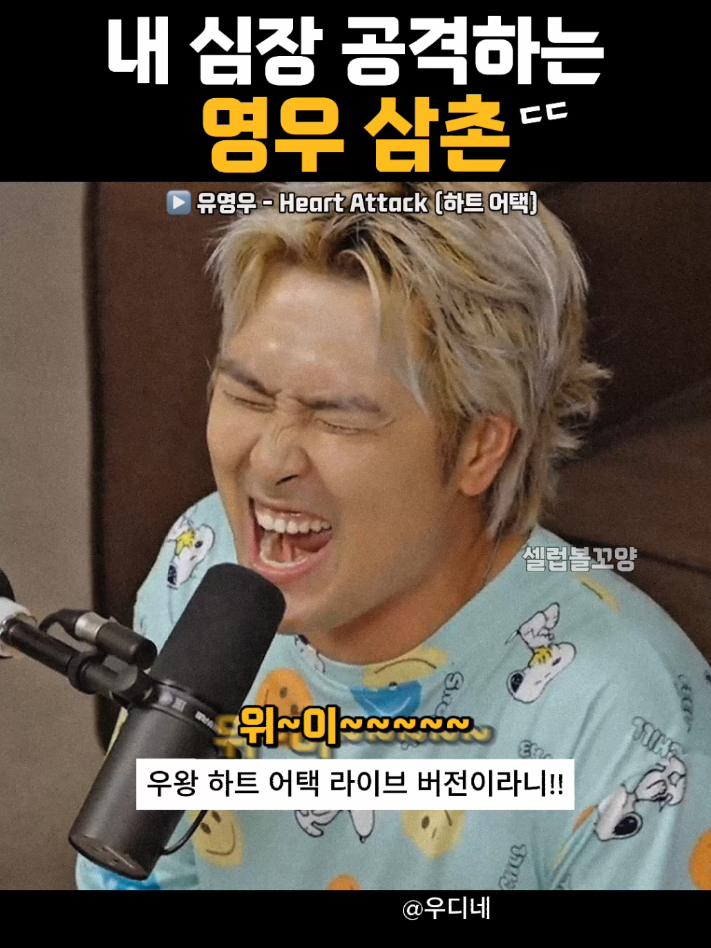 @셀럽볼꼬양