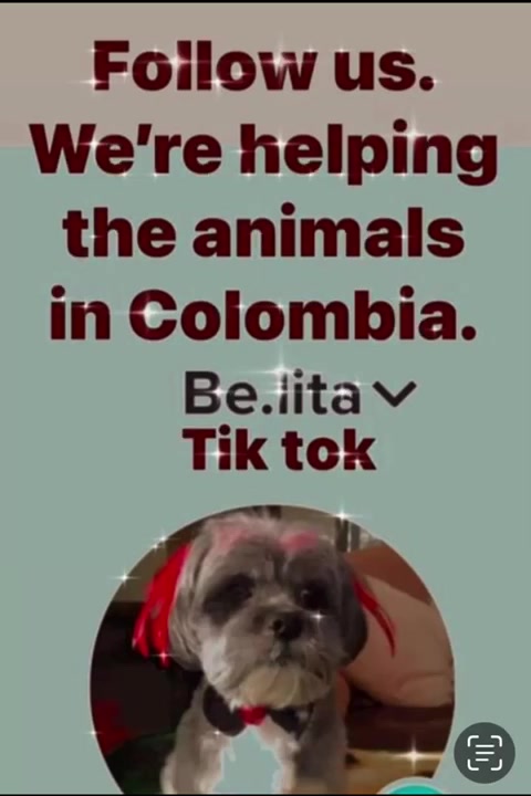 @BelitaPets
