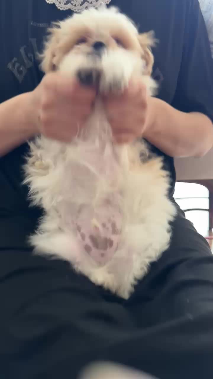 @또롱이