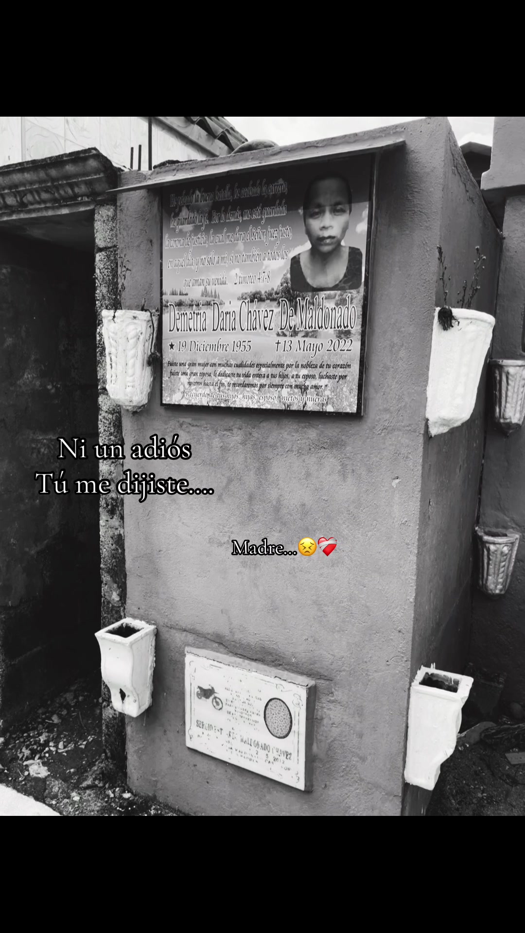 @Maldonado🥷🕷️