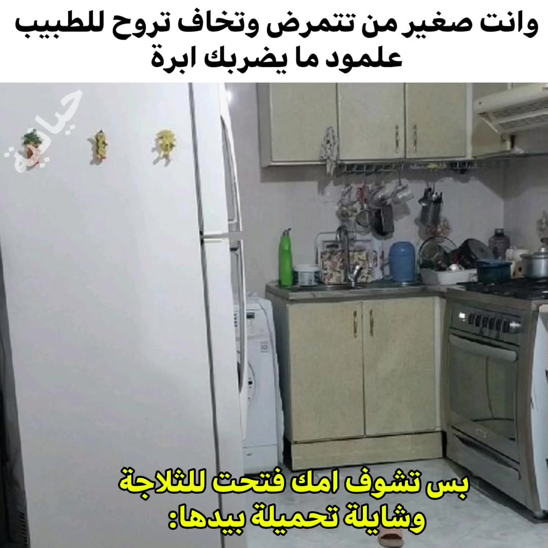@☭فحل الحيانية☭