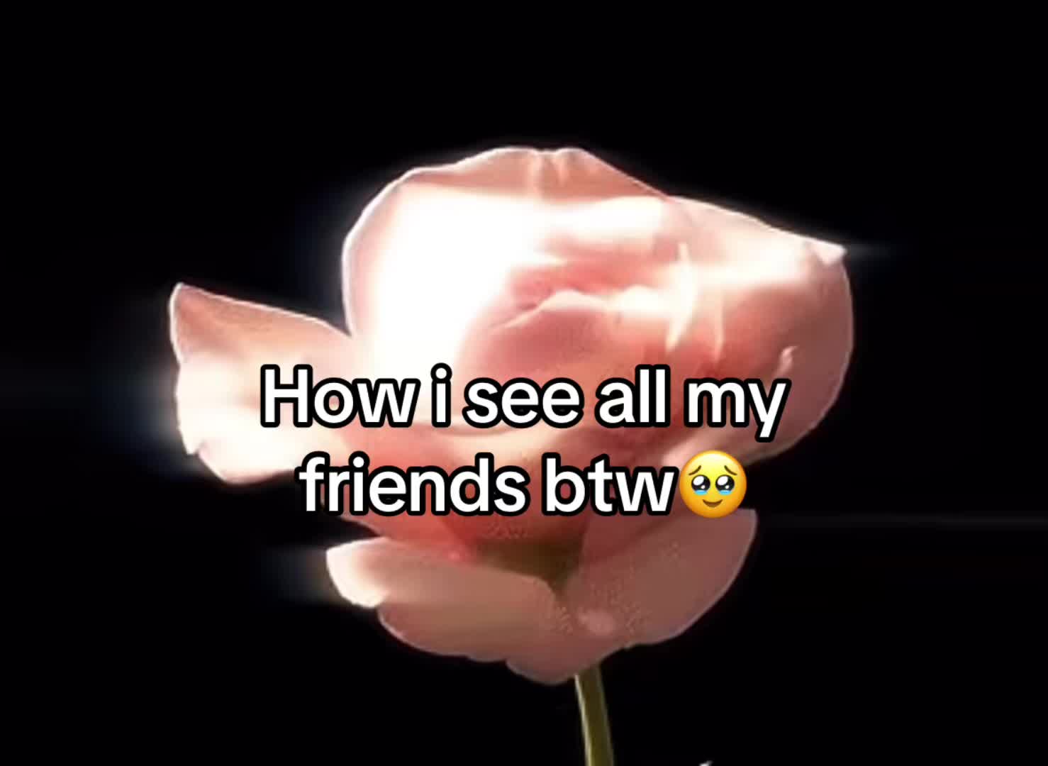 @yera.prodigy