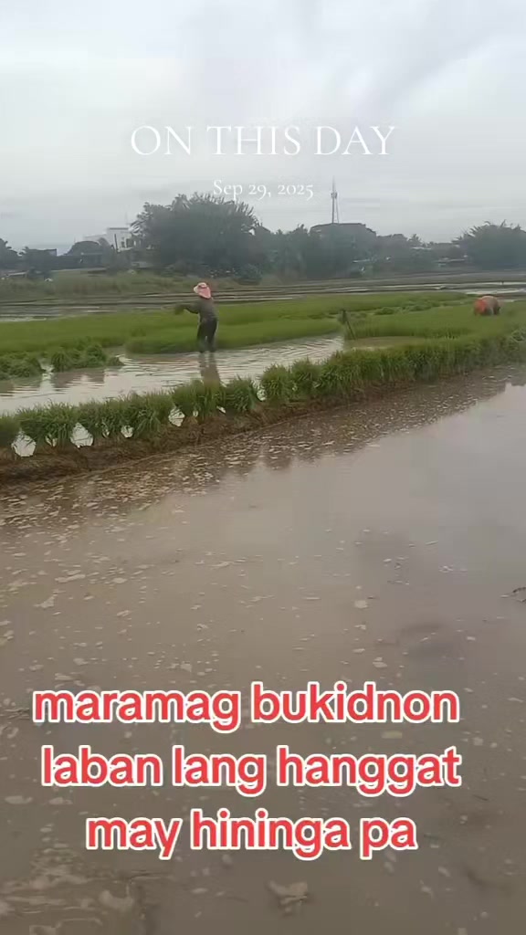 @BUKIDNON PROVENCE