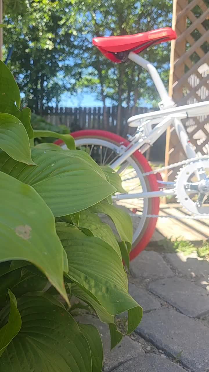 @The Bike Shop.....