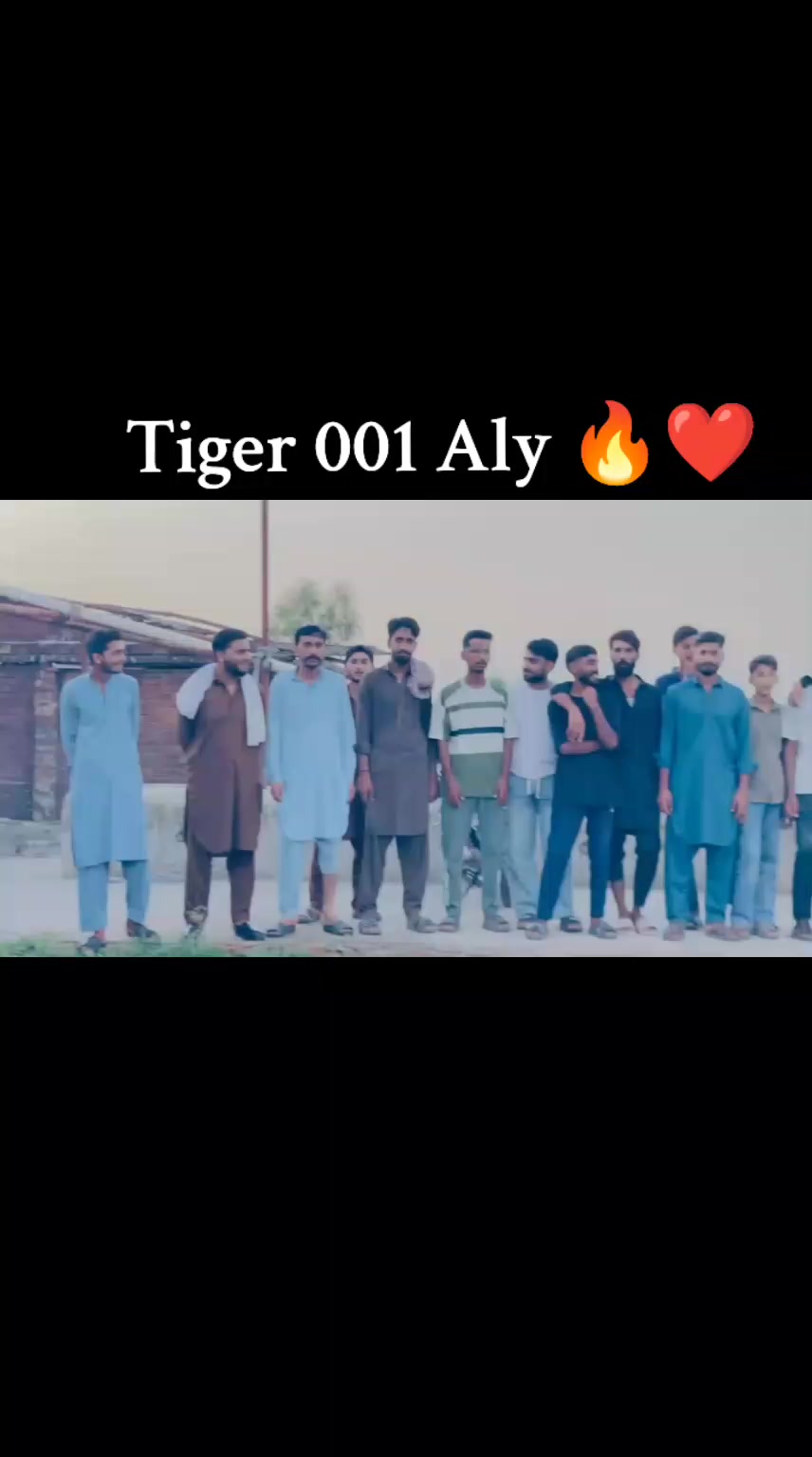 @چوہدری دانش پسوال ❤️🐯
