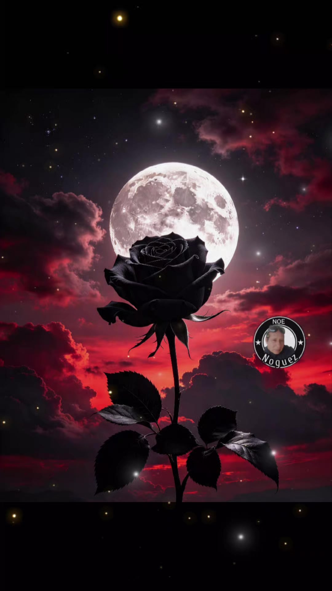 @noenoguezhernande