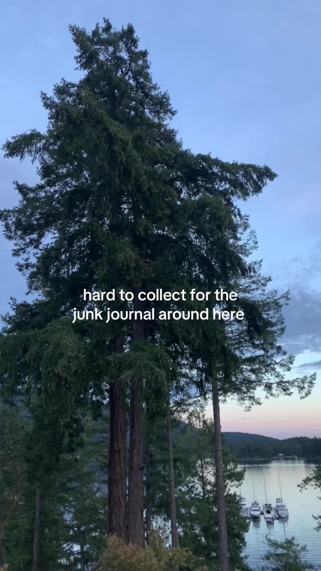 @jessicadeitcher