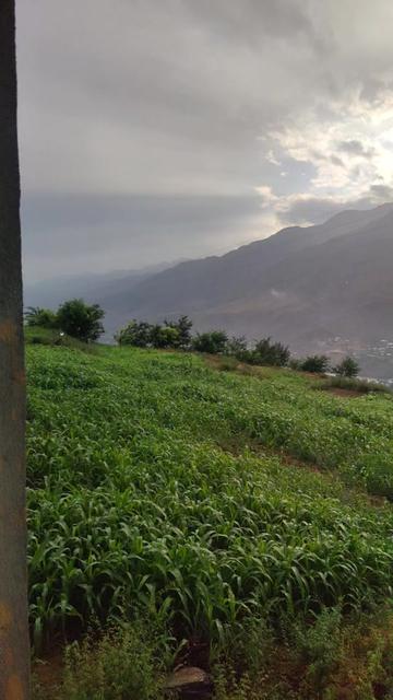@✨Naveed✨🗿