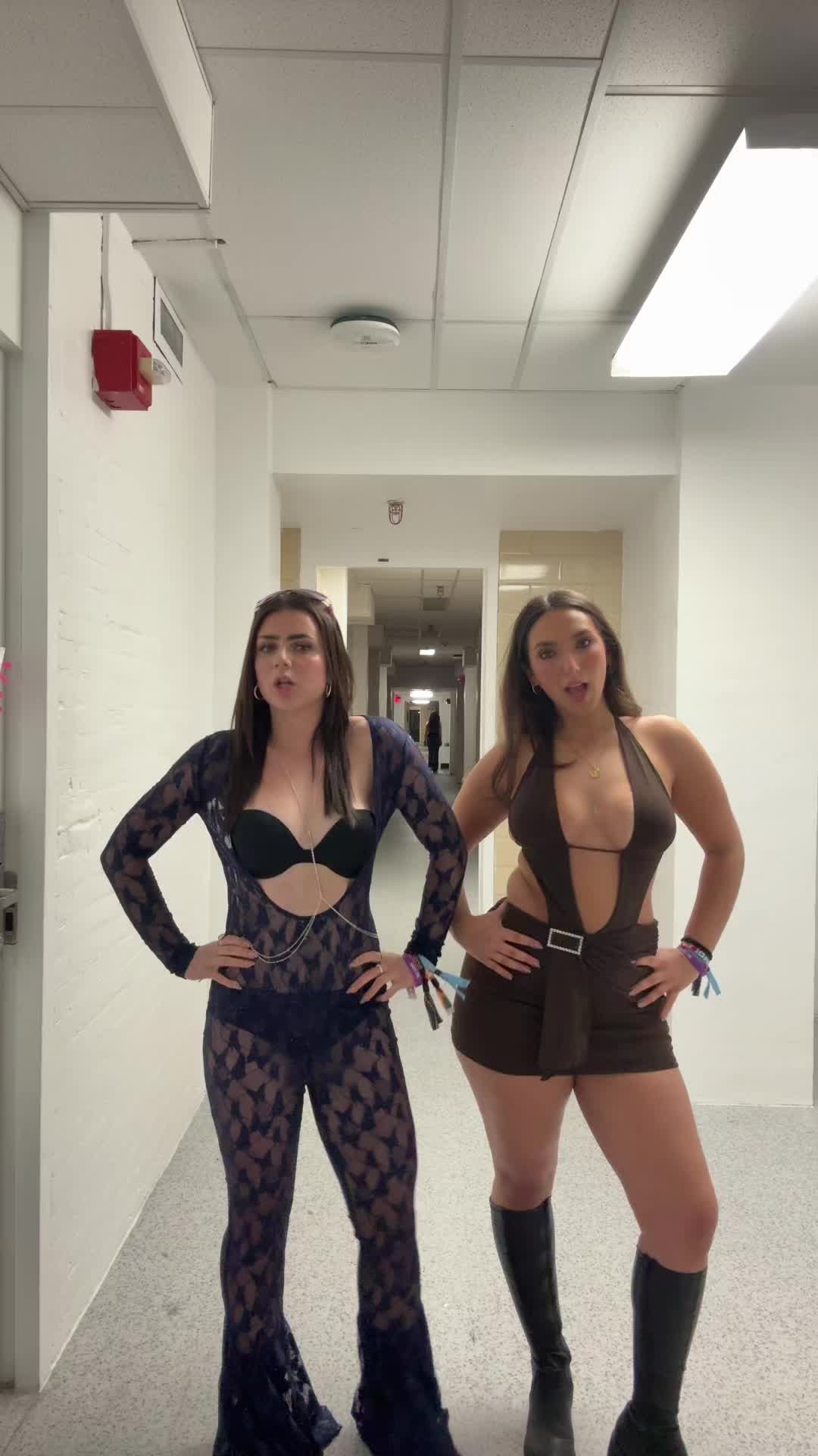 @lylaaaa