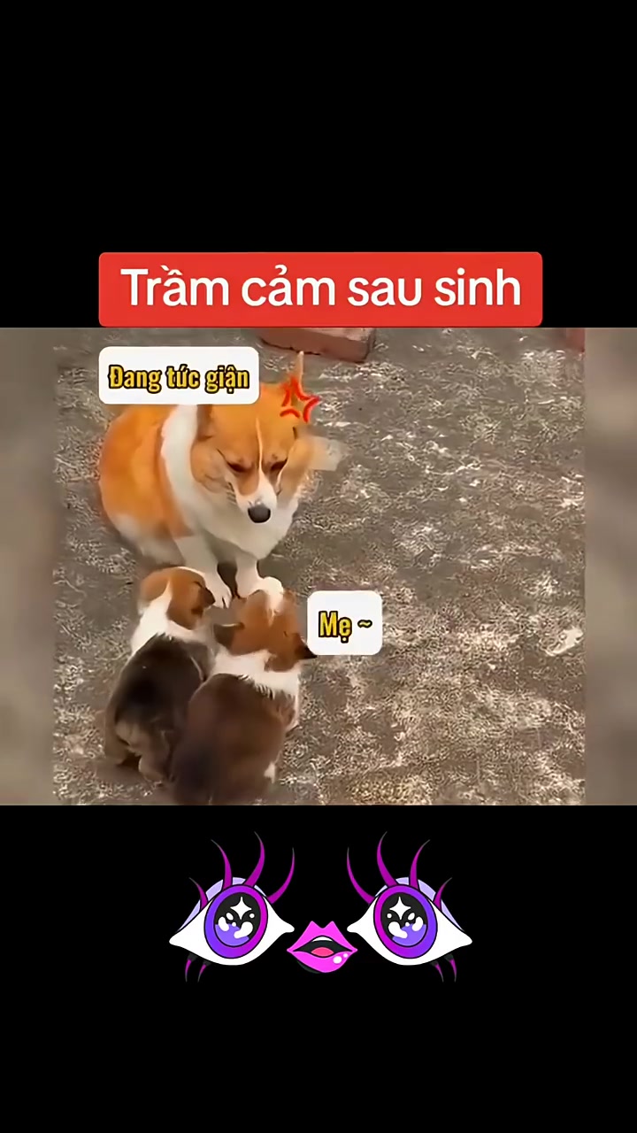 @ghostrider901225