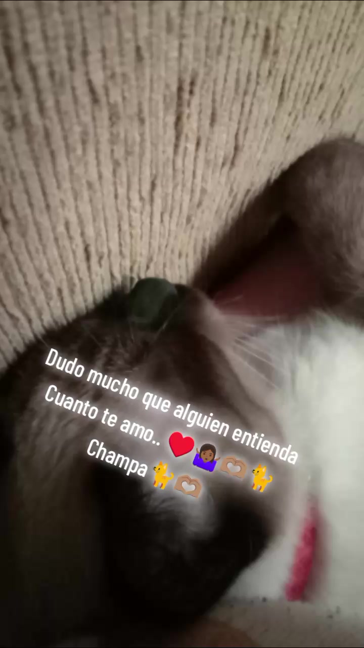 @❤️ 777❤️