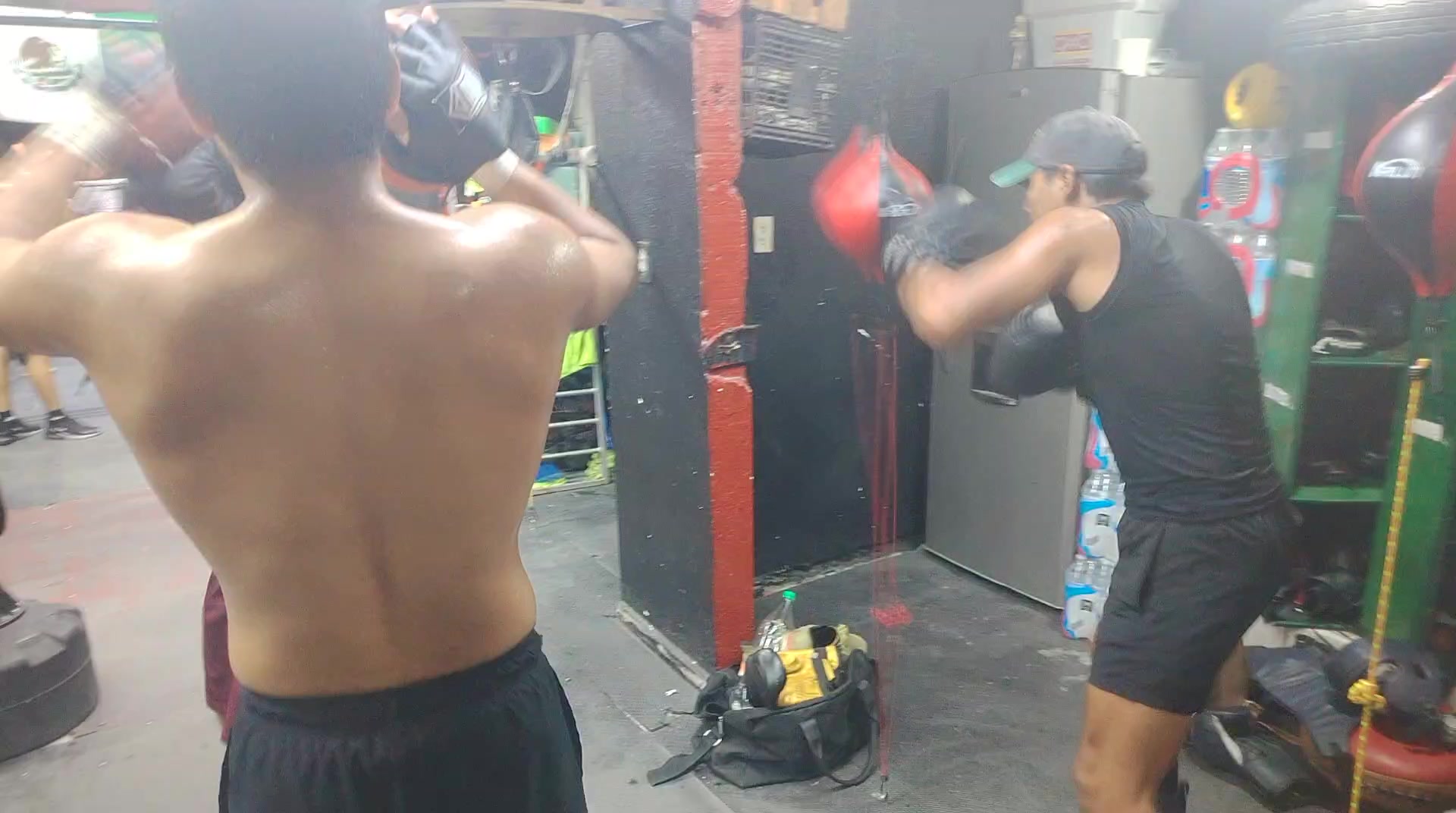 @Carreras Boxing Master