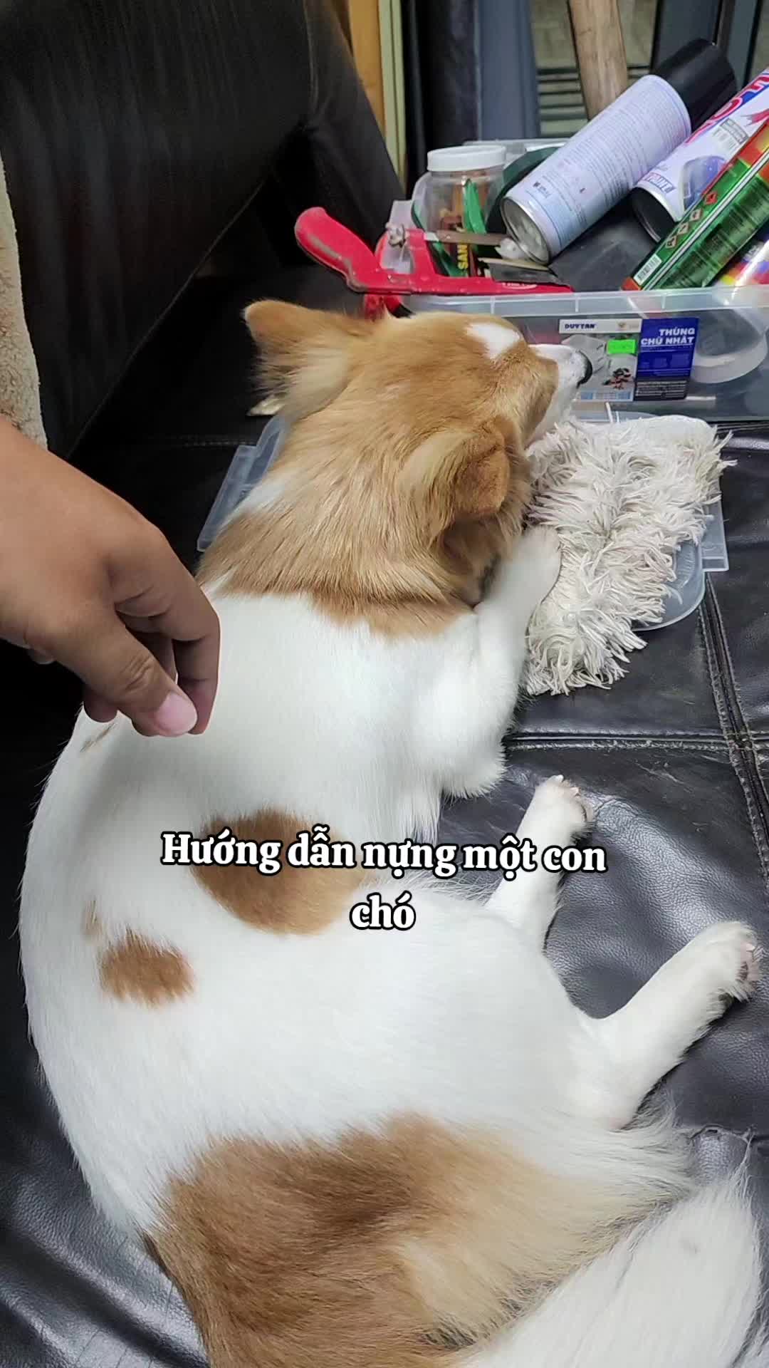@Quoc Bao SDSoft