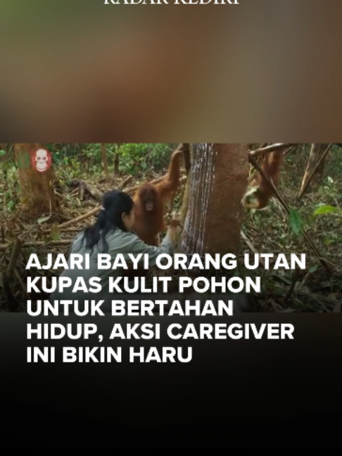@radarkediri
