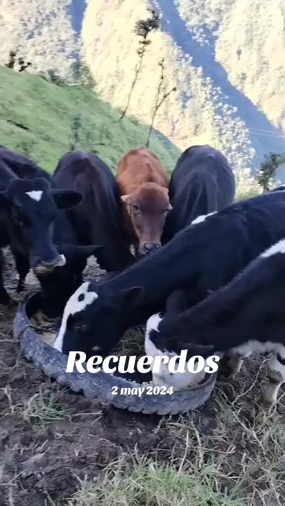 @🇪🇨gilmar.ff0🇺🇲