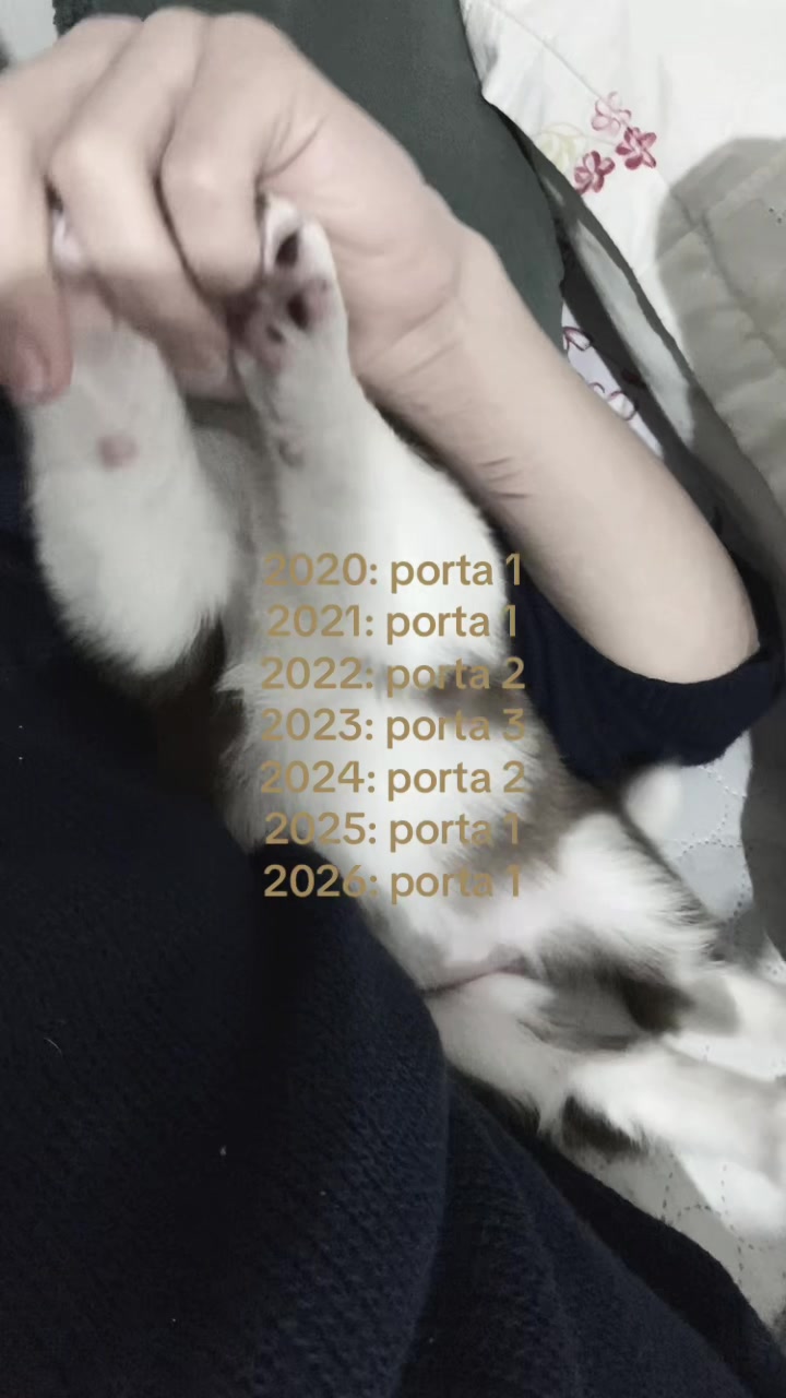 @Lu