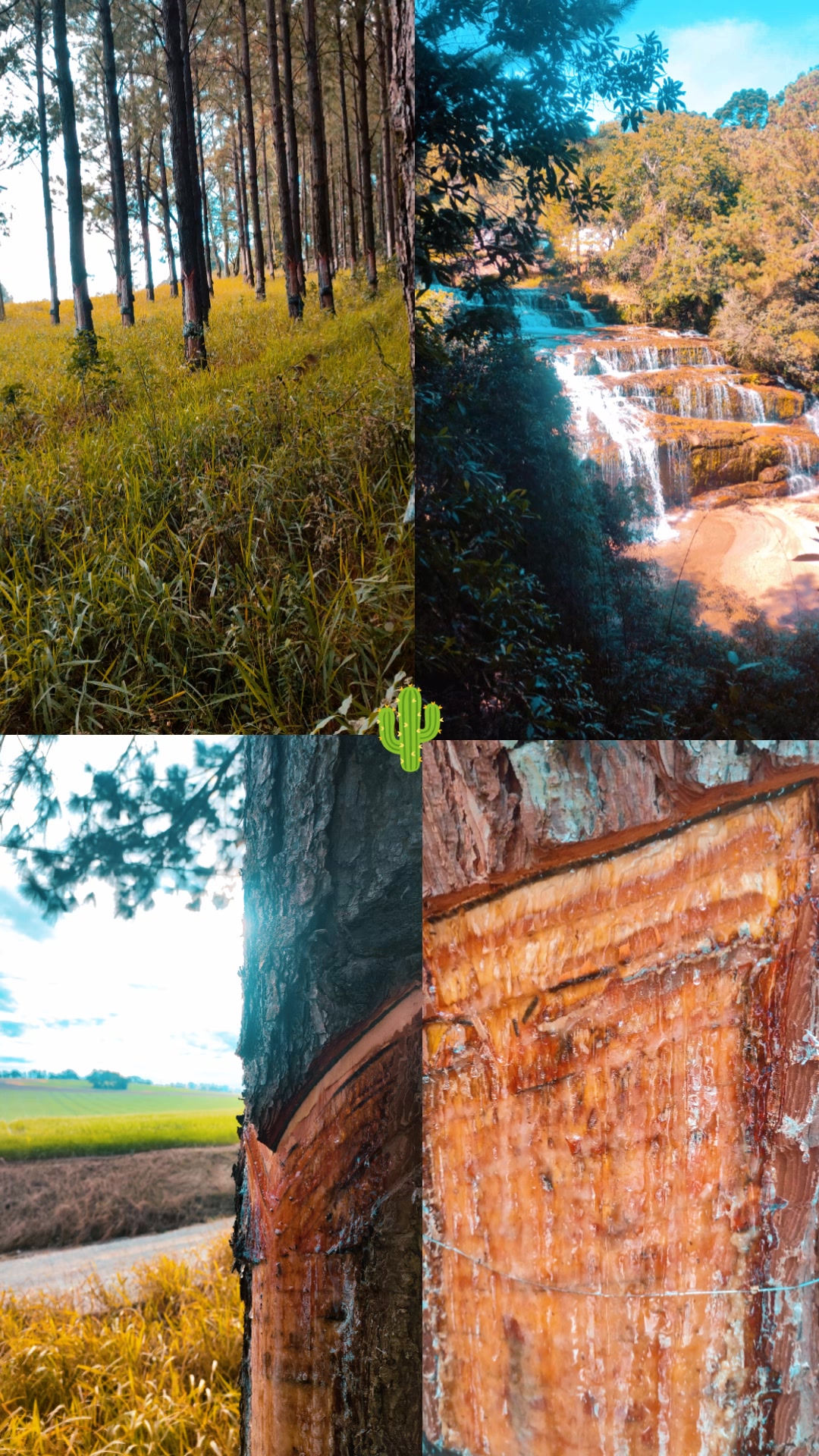 @WHresinas 🌲🛢️