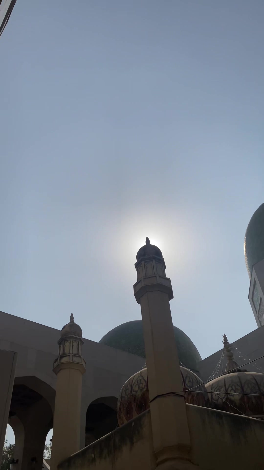 @سید رضا نقوی👑