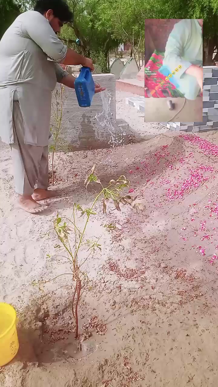 @🔥کاشی بٹ🤟
