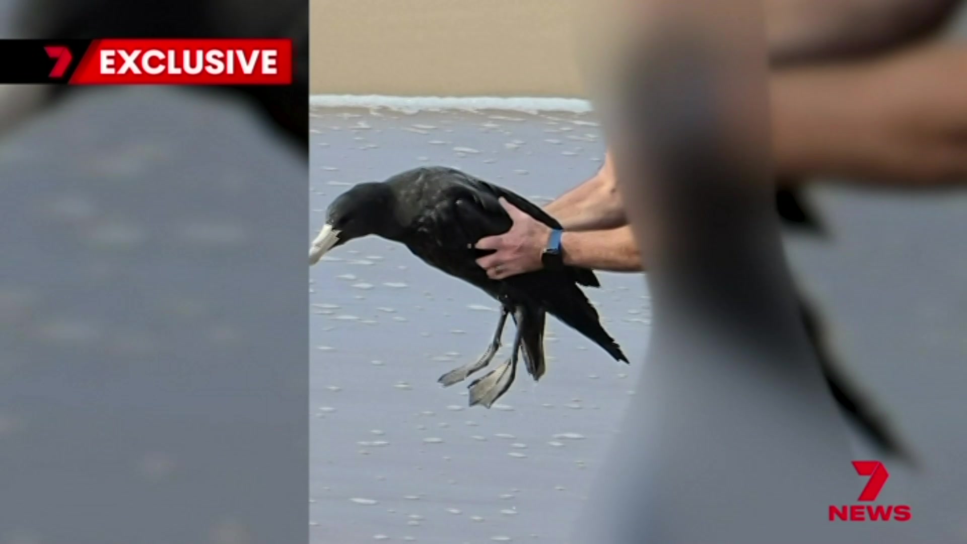 @7NEWSAdelaide