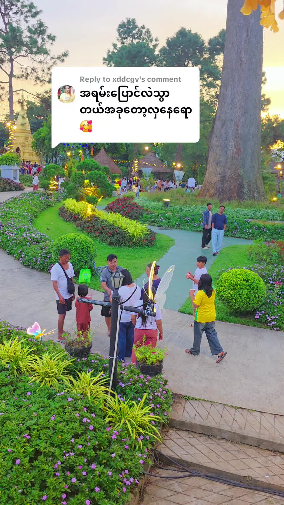 @သစ်တစ်ပင်တောင် (Official)