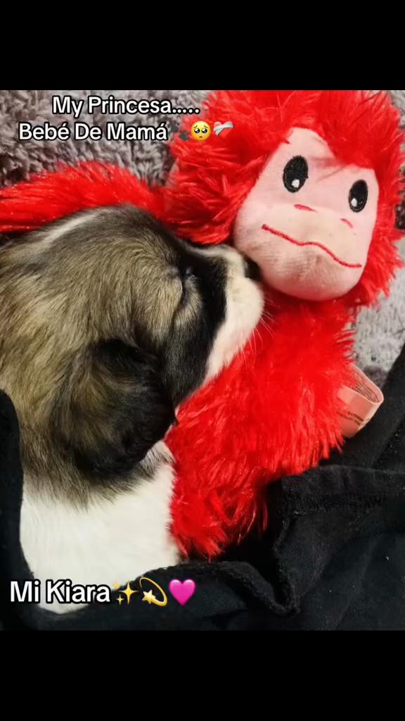 @Jasmin🐻🍓🫦