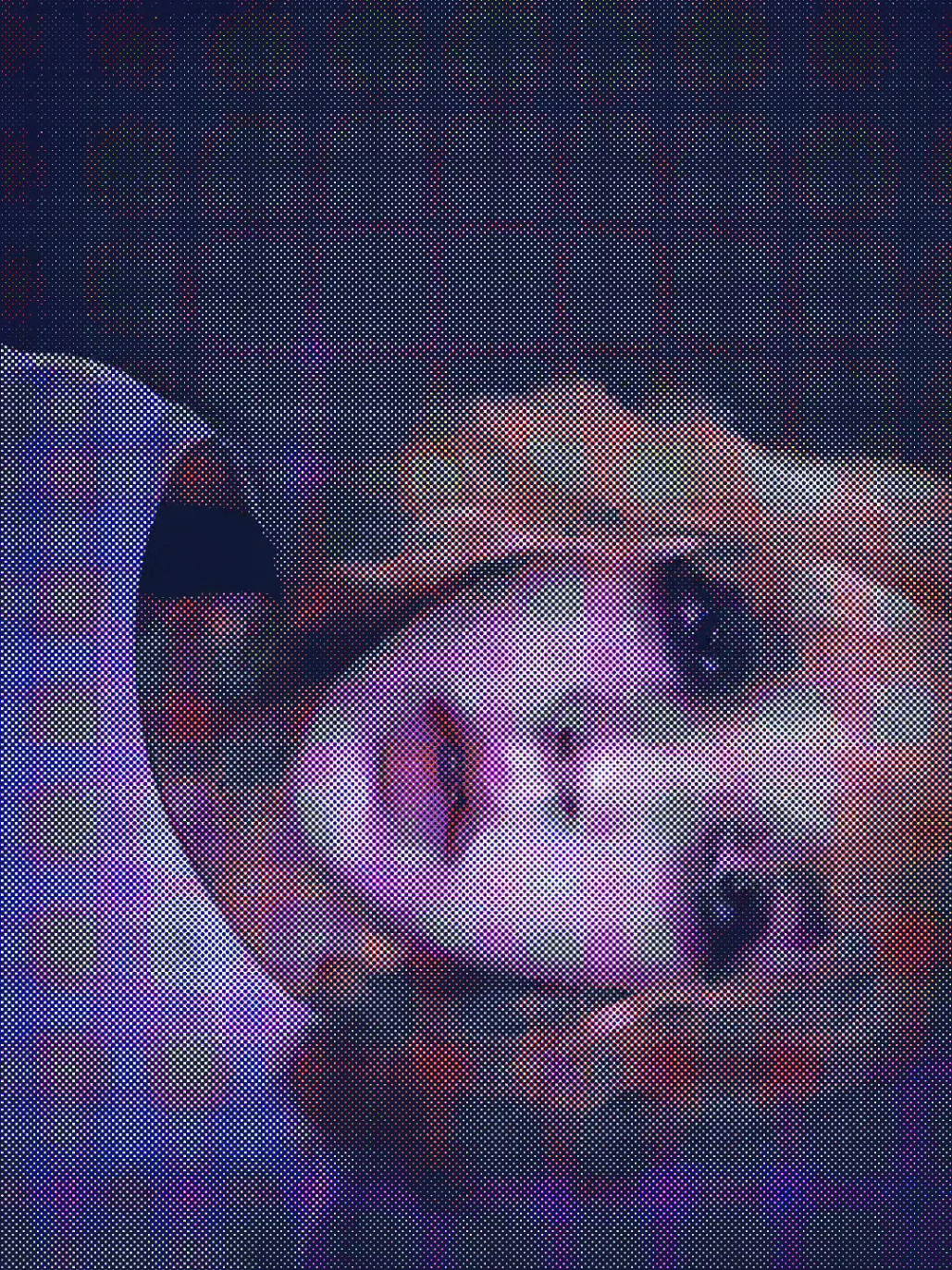 @xX_Anastasia_Xx🦄🥐🖕