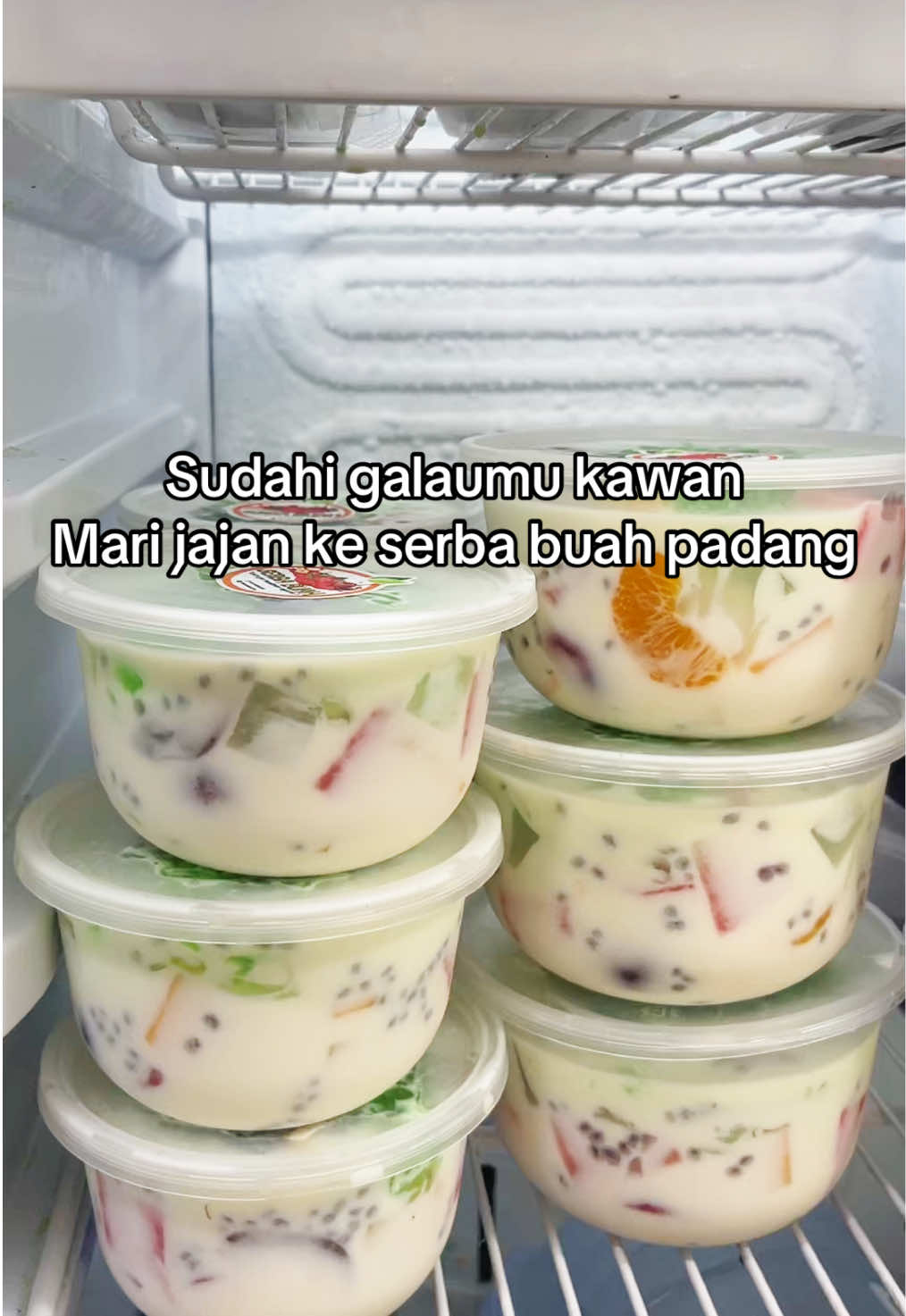 @SERBA BUAH PADANG2