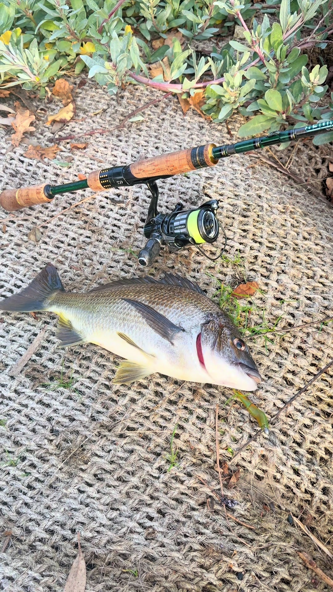 @fishing_southtas