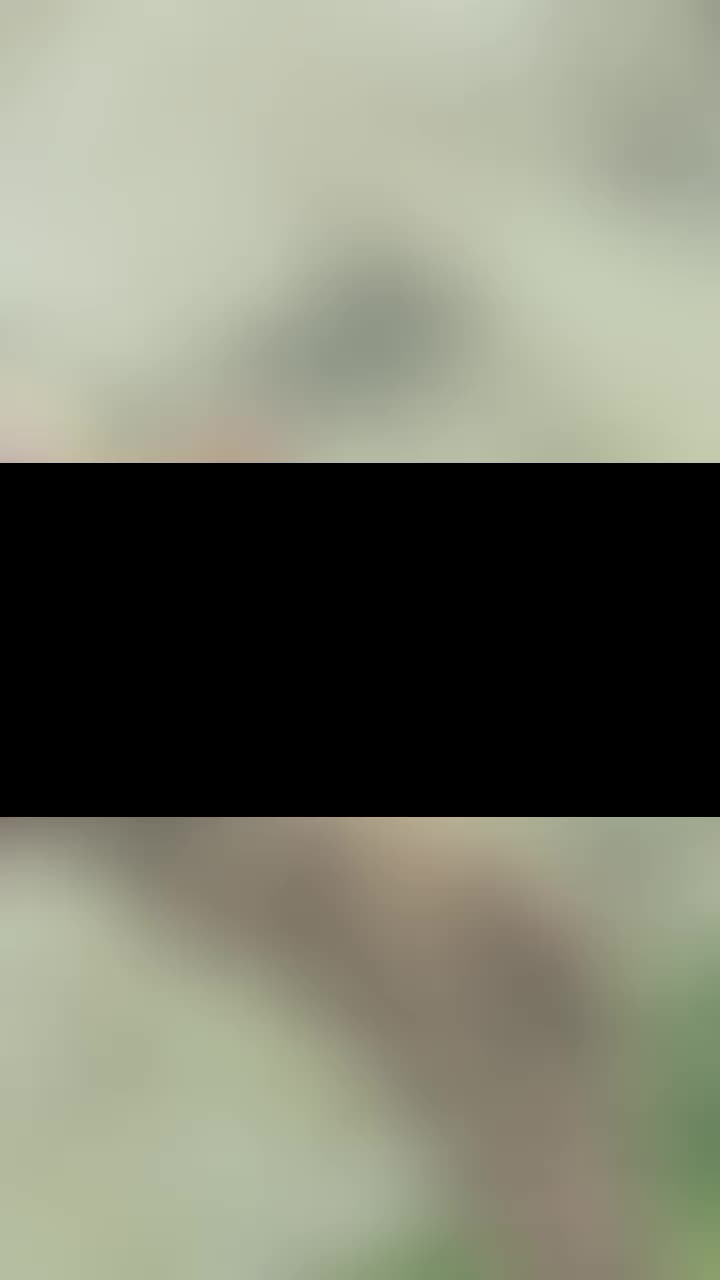 @justin 25 don