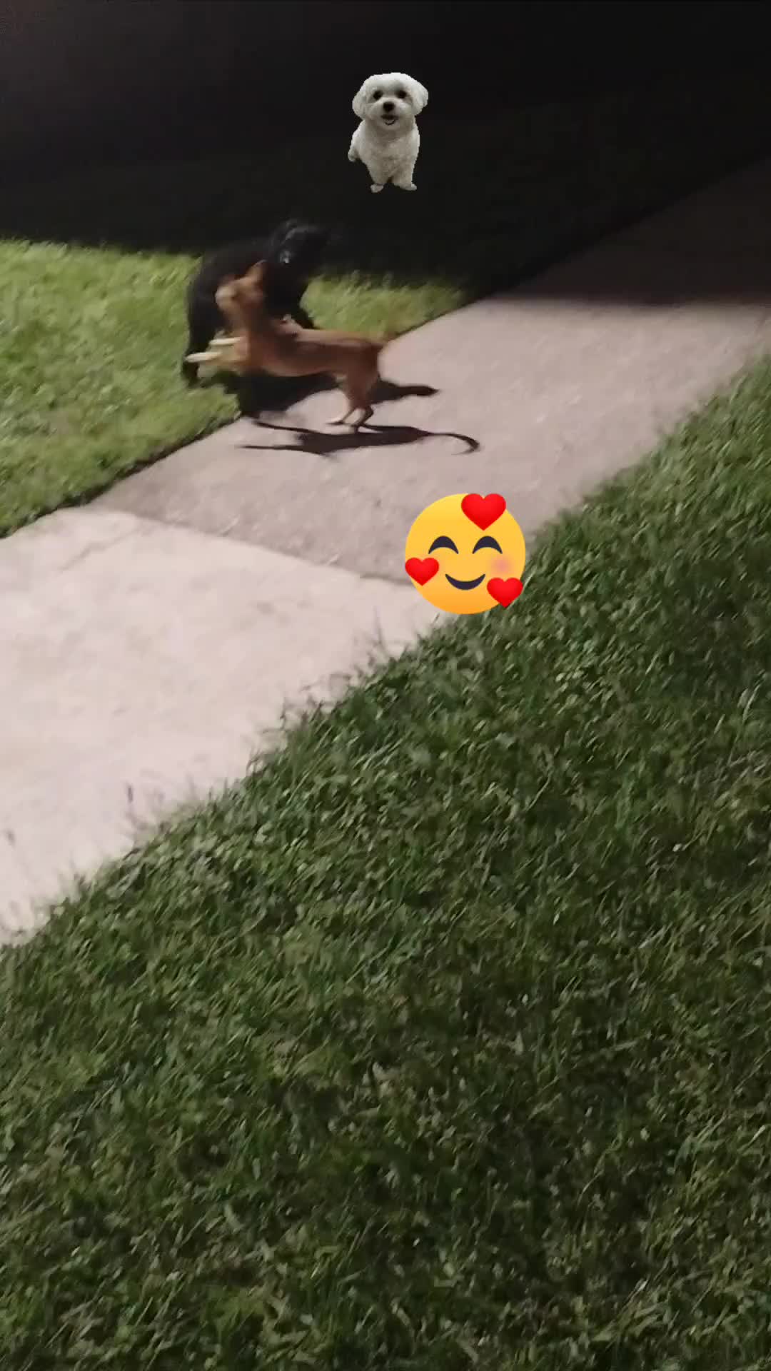 @Martín1982