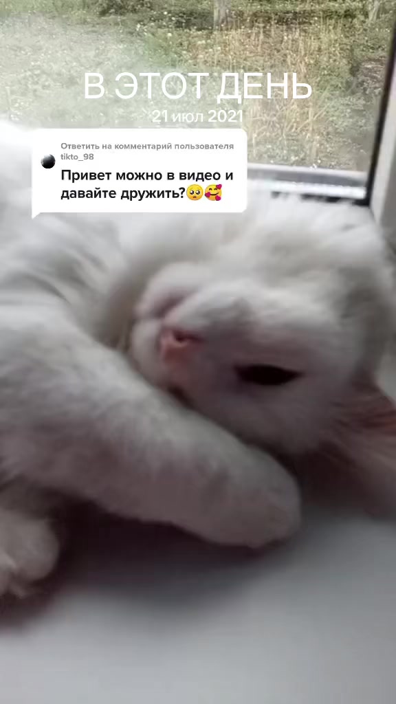 @💗🐰Ласка🐰💗