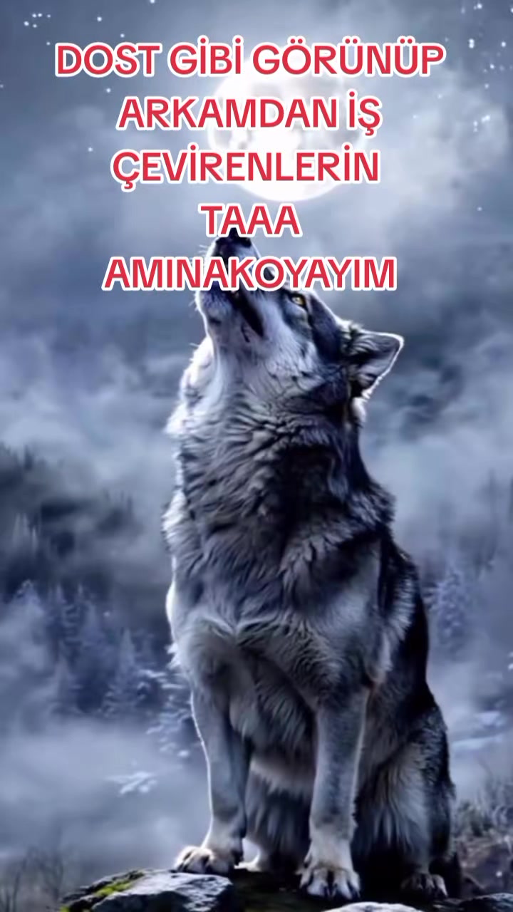 @🦁 SAKİN OLUN BEN GELDİM SLM🦁