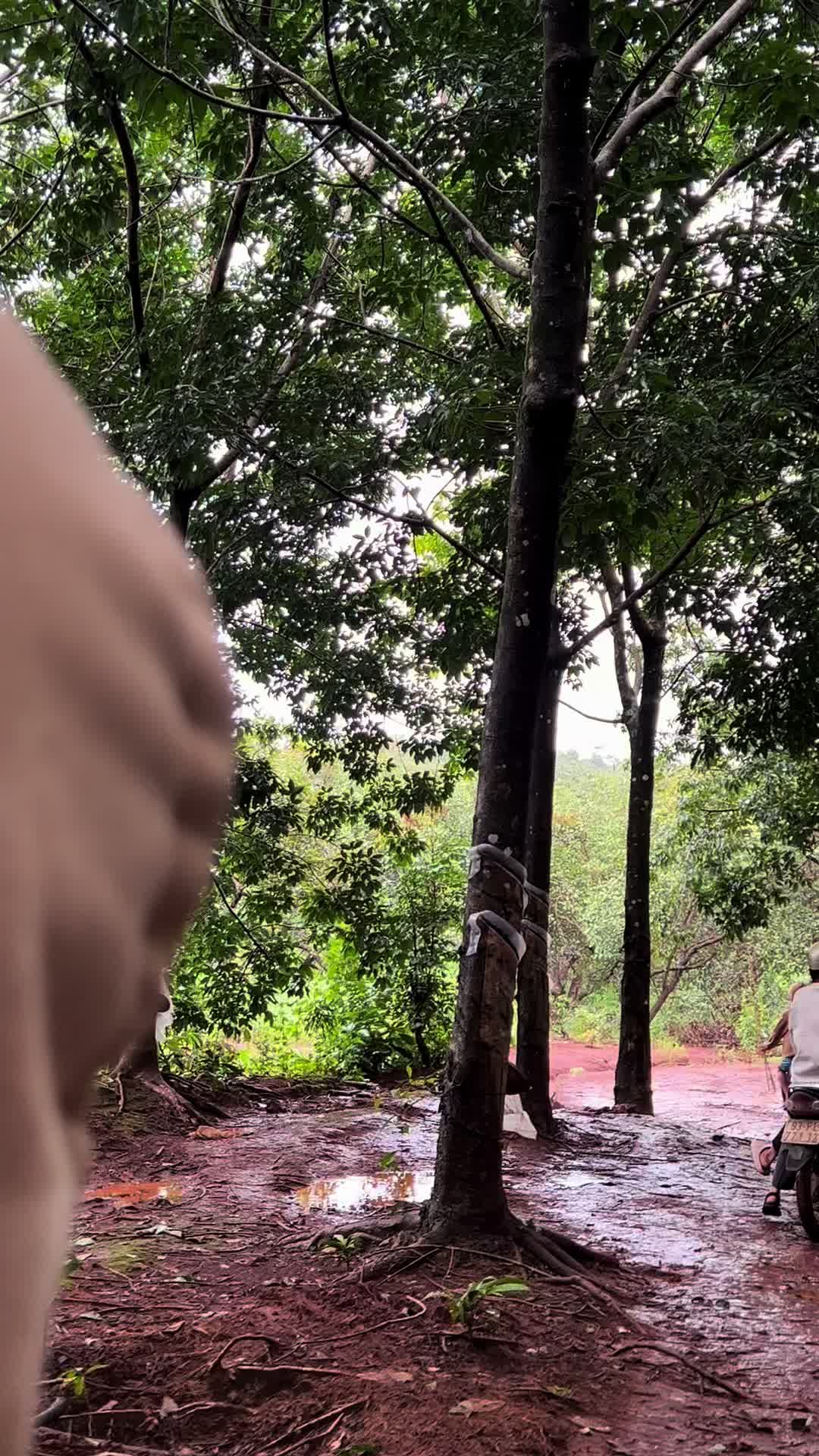 @Út thích đi tuorr