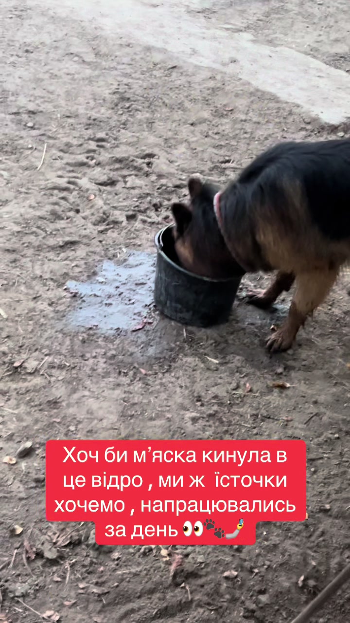 @Наташа Мазур.