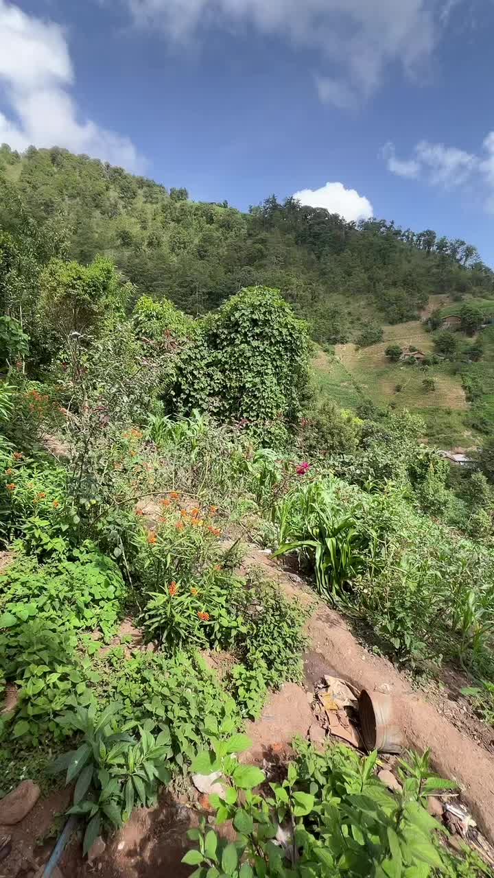 @🤍El chino divertido 502🤍🇬🇹