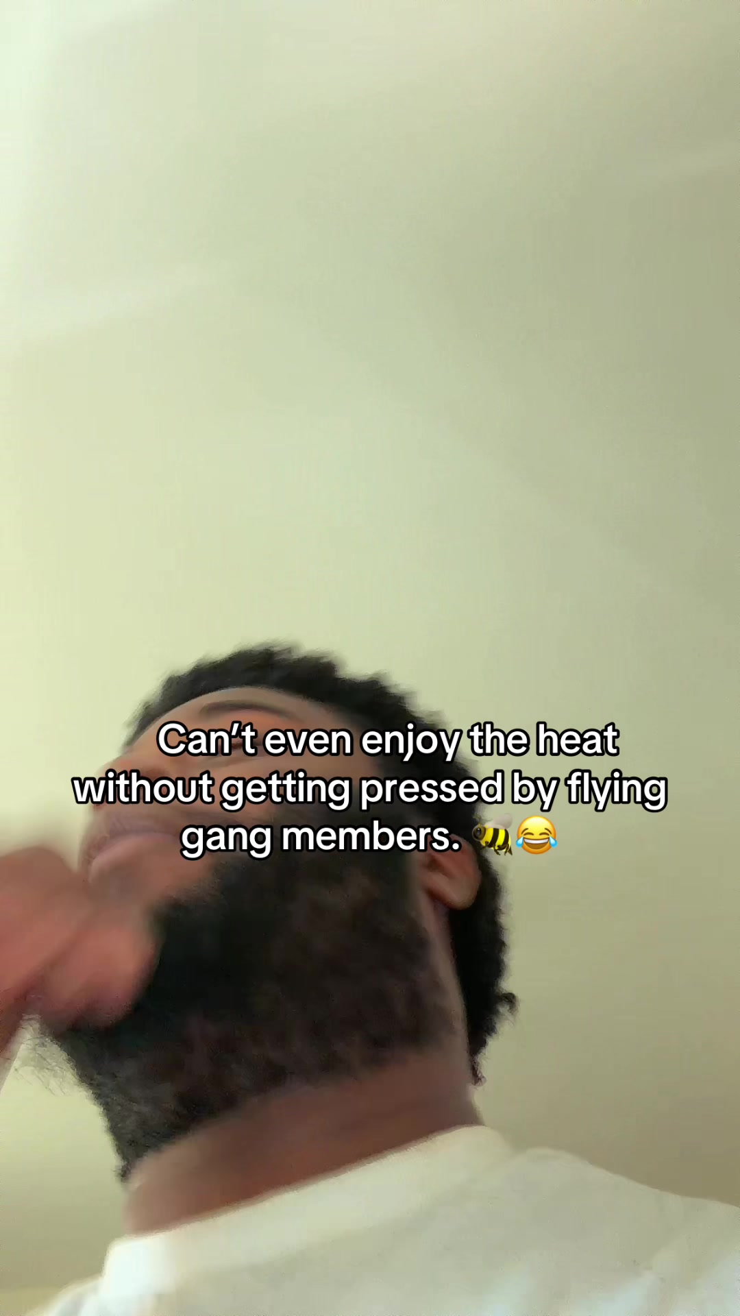 @LIL ELI 804