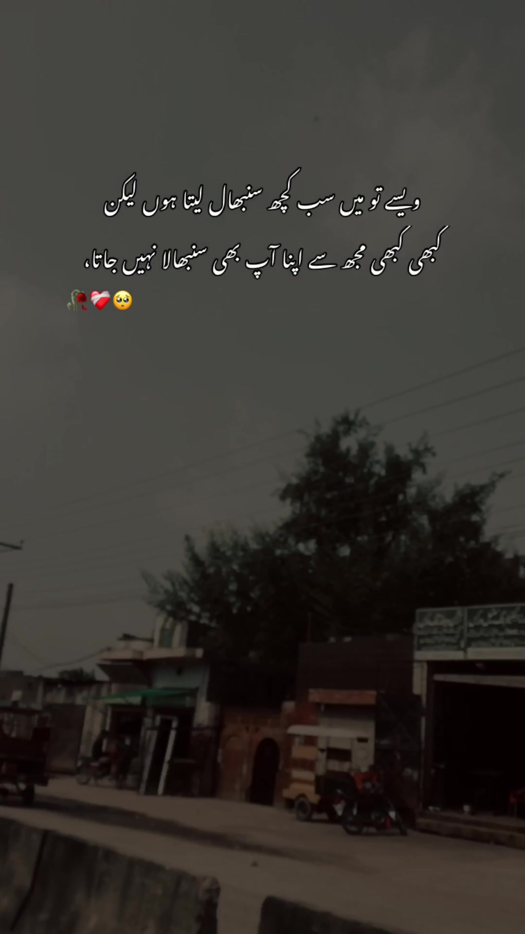 @>پاگل ہو <🦋