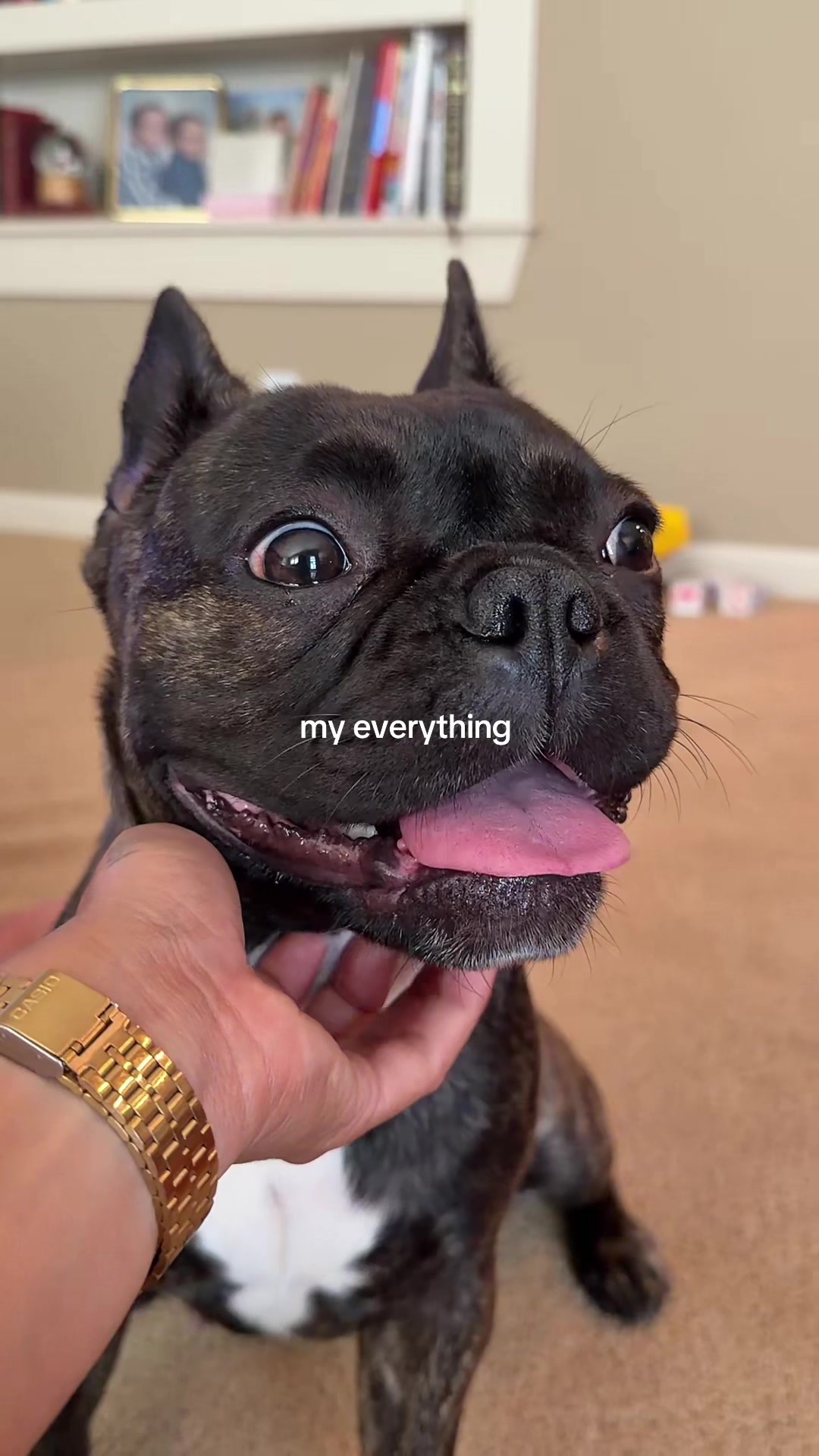 @MEEKS