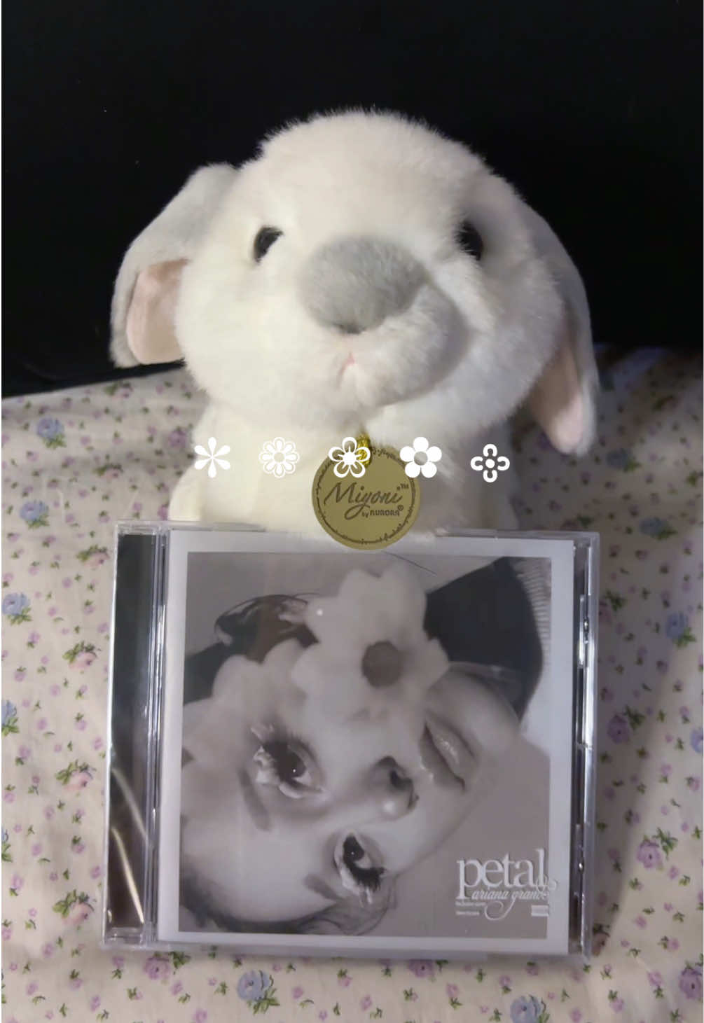 @BunnyCake🐇