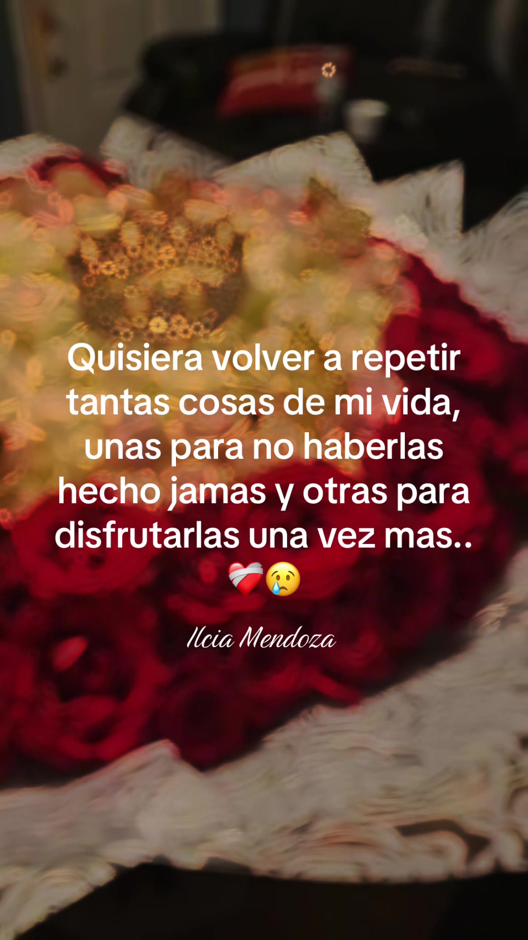 @Ilcia Mendoza🦋🌻🖤