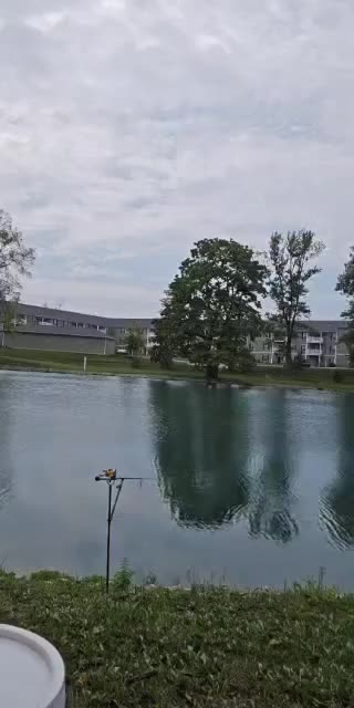 @JPMONEY317