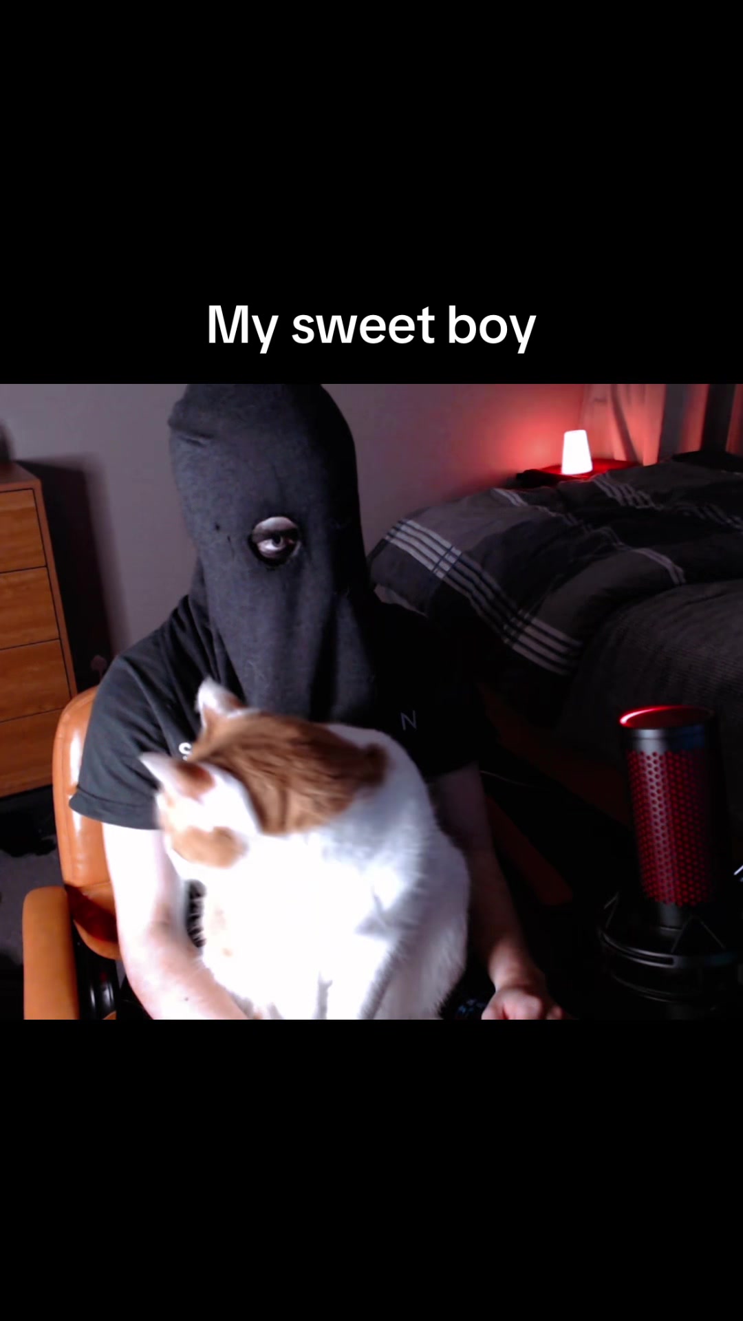 @Corvid