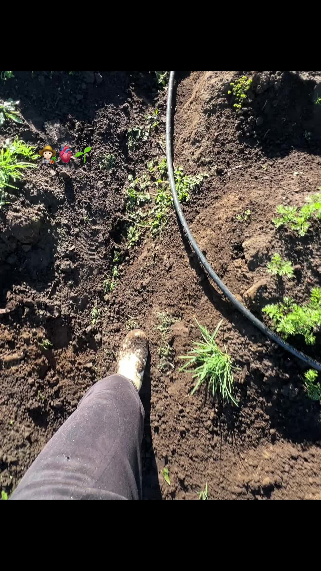 @Victor🌱🚜