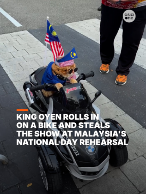 @AsiaOne